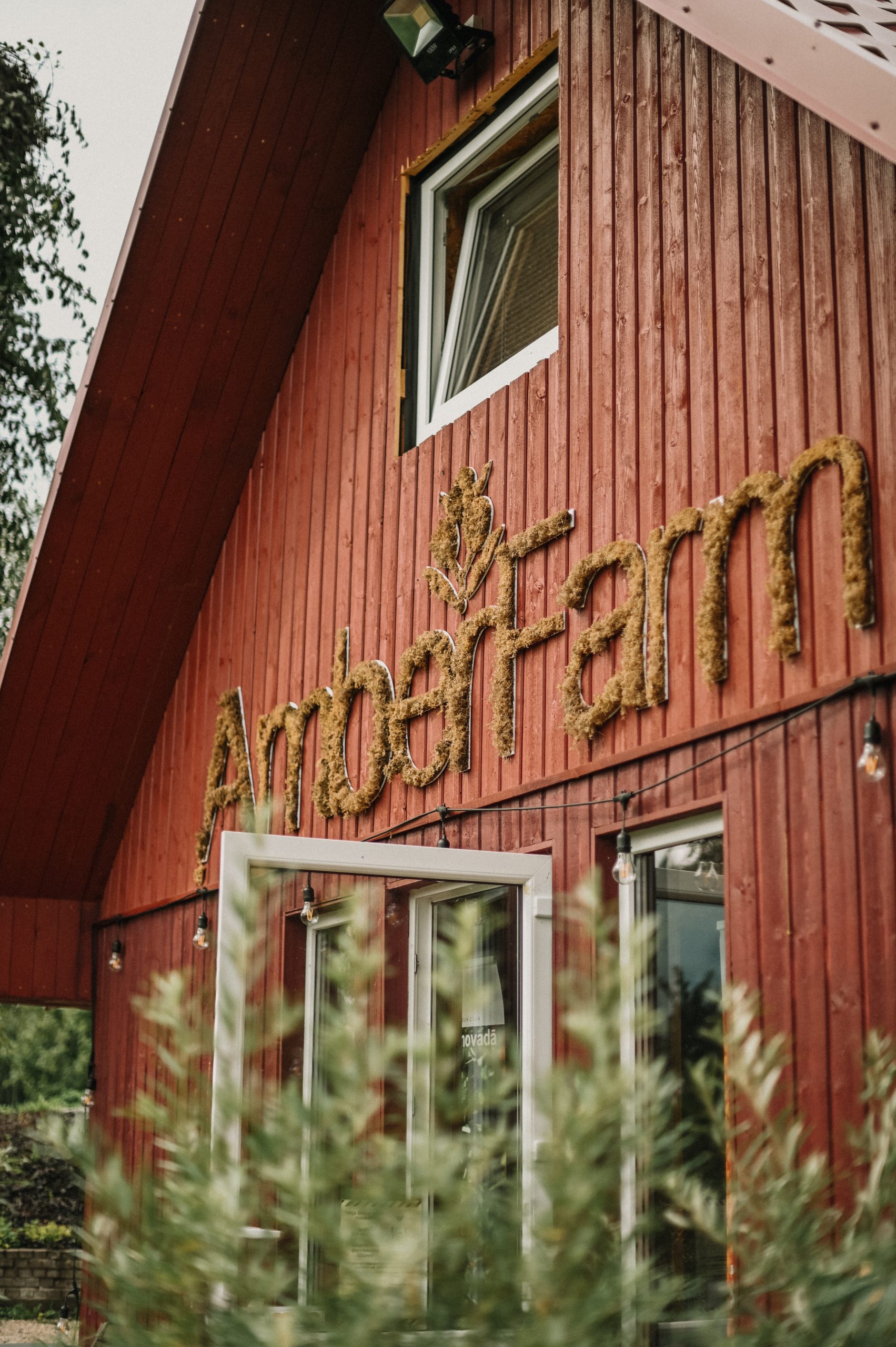 Amberfarm